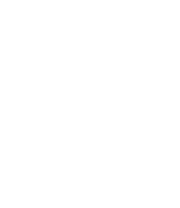 DASH